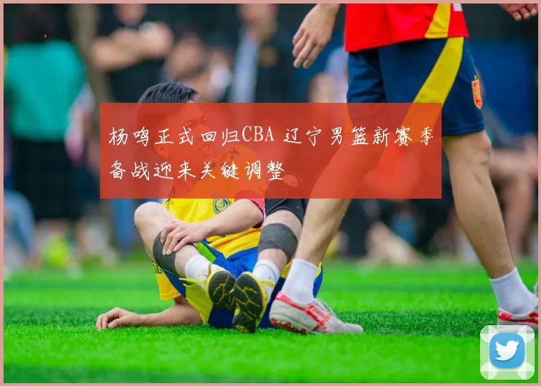 杨鸣正式回归CBA 辽宁男篮新赛季备战迎来关键调整