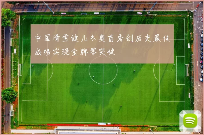 中国滑雪健儿冬奥首秀创历史最佳成绩实现金牌零突破