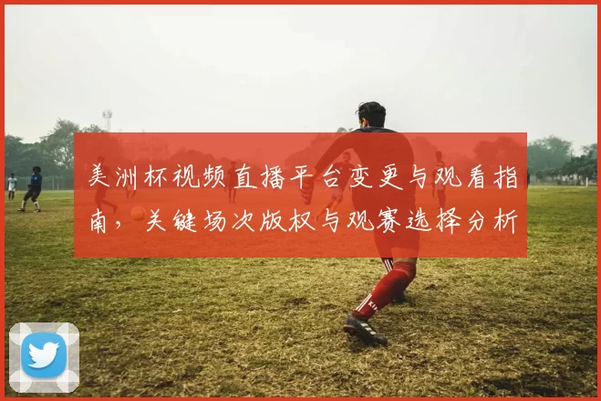 美洲杯视频直播平台变更与观看指南，关键场次版权与观赛选择分析