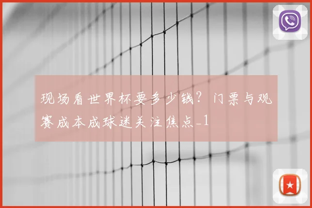 现场看世界杯要多少钱？门票与观赛成本成球迷关注焦点_1