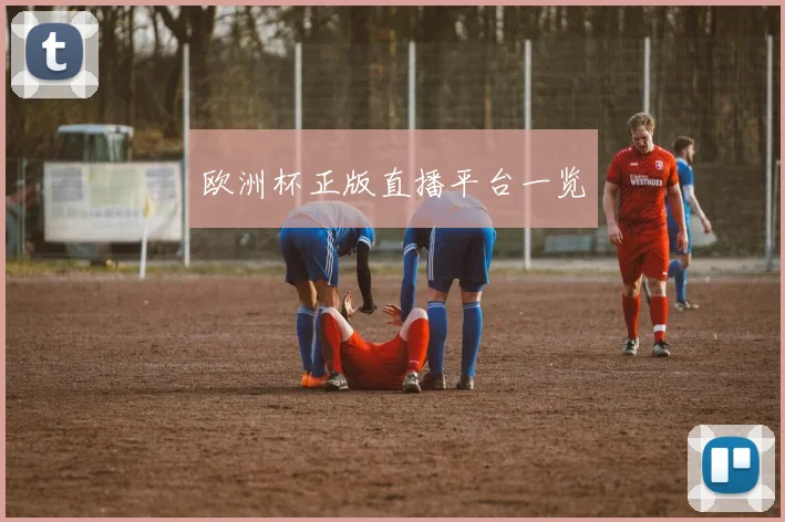 欧洲杯正版直播平台一览