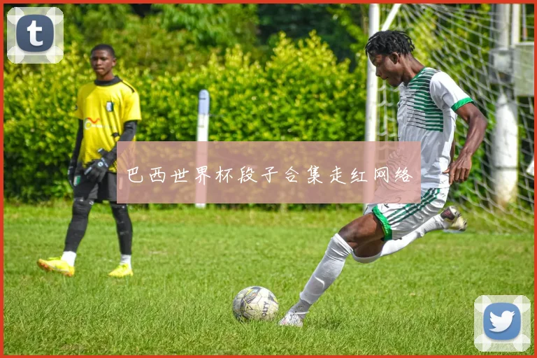 巴西世界杯段子合集走红网络