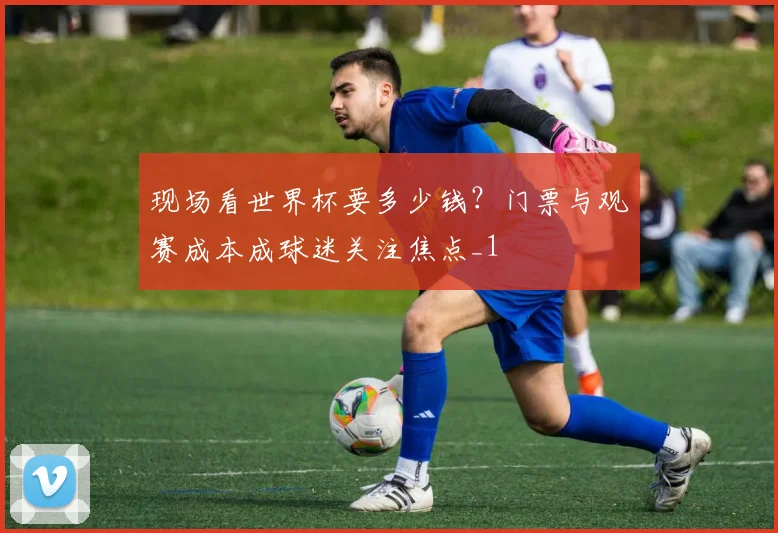 现场看世界杯要多少钱？门票与观赛成本成球迷关注焦点_1