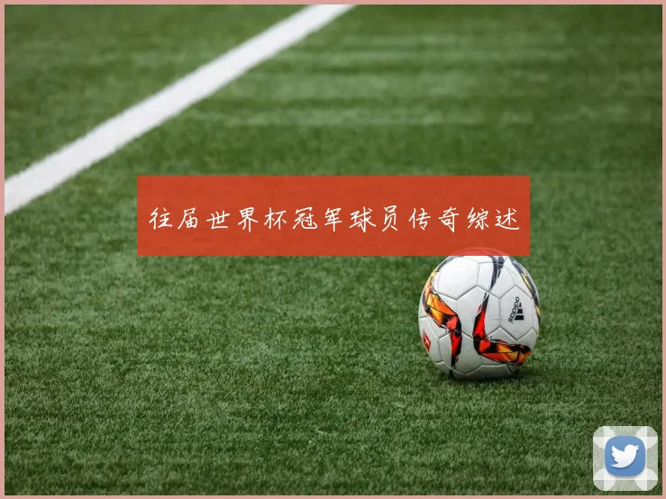 往届世界杯冠军球员传奇综述