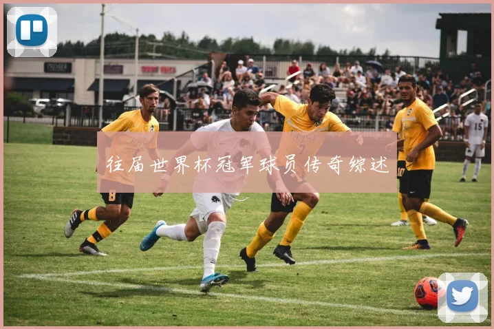 往届世界杯冠军球员传奇综述